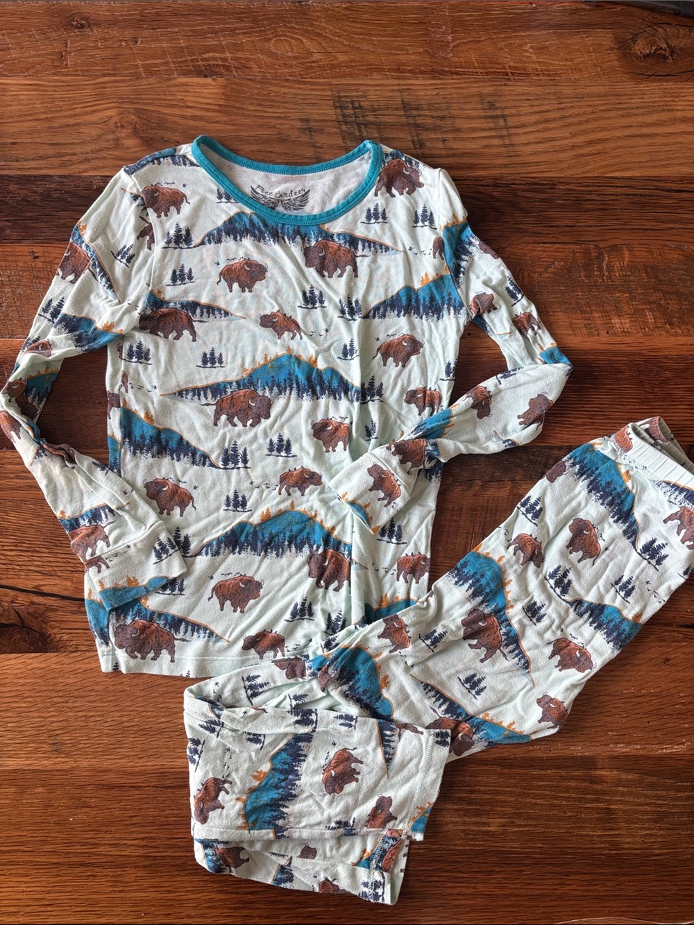 Free Birdees bambo size 6 Kids Buffalo & Mountain Print Long Sleeve Pajama Set -
